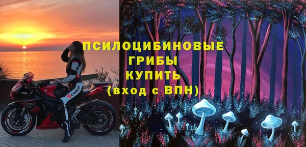 крисы Осташков