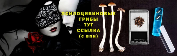 прущий лед Балахна