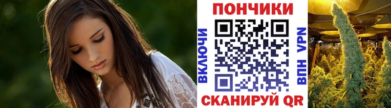 Бошки марихуана семена kraken как войти Олёкминск